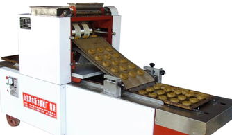 山東泗水新力食品機械廠