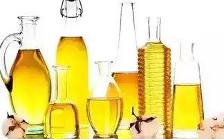 這四種平民菜最適合冬補(bǔ) 快吃起來(lái)